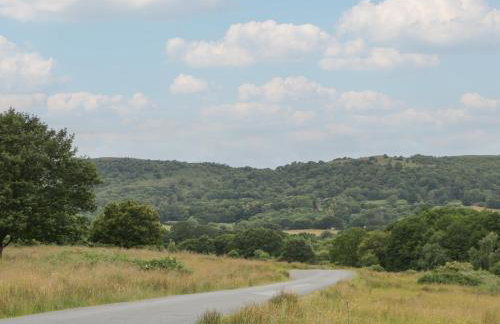 The Turbles - Swallows Nest - Foto 27