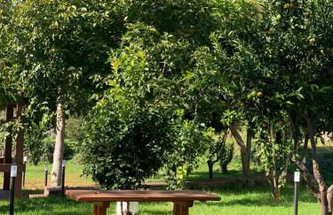 Villa Bonanno Conti - Foto 10