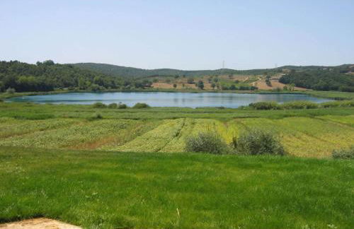 Tenuta La Tabaccaia - Foto 46