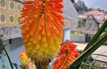 Northern Air House - Foto 51