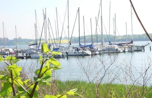 Reetdachkate Ekenis - Foto 17