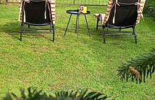 Apartman Barbara - Foto 31