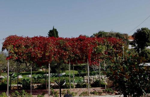 Holiday house "LEA" - Photo 44