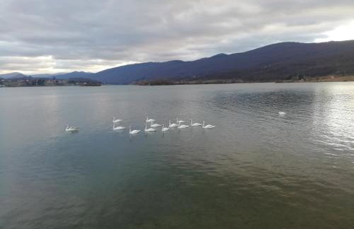 Studio apartment Meli - Foto 54