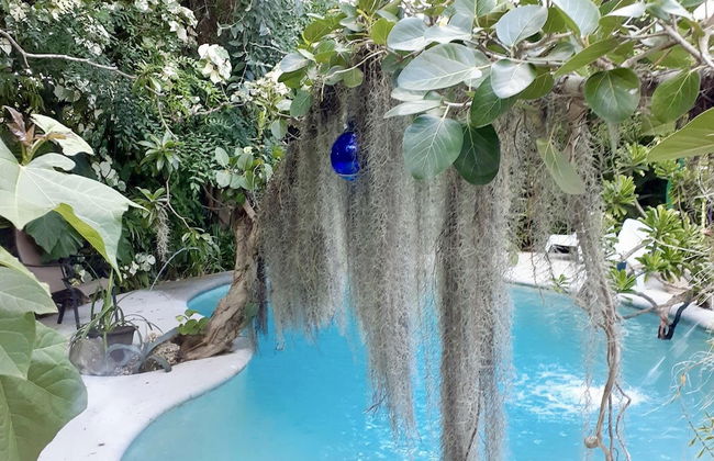 Unique Art Nature Hideaway Walkable to Wilton Drive - Foto 26