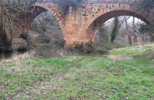 El Carro del Abuelo - Foto 28