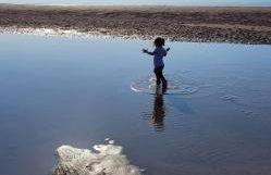 Arual Caravan Manor House Park. Allonby, Cumbria - Foto 9