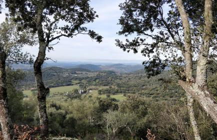 Las Navezuelas - Photo 3