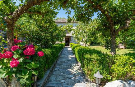 Μountain Whispers - Foto 6