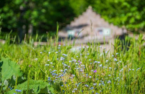Il Borgo Dei Celti - Photo 62