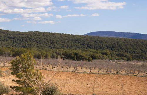Casa Rural Completa en Alicante 6 Habitaciones con Piscina, BBQ, Vistas Naturaleza Ideal Grupos - Photo 36