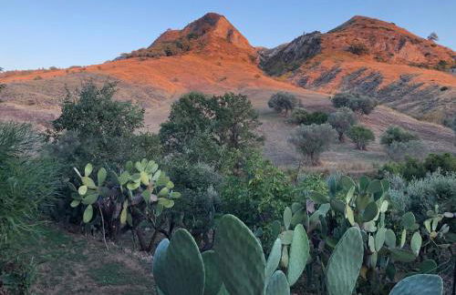 Il Castello degli Ulivi - Agriturismo in Natura - Foto 26