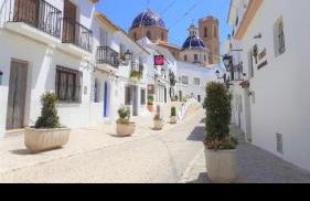 Salamandra - Photo 11