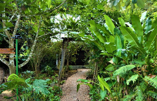 Jungle Like Oasis in San Ignacio - Secluded Cabaña Retreat Close To Mayan Ruins - Foto 14