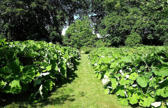 6 Person Holiday Home in Hojslev-by Traum - Foto 29