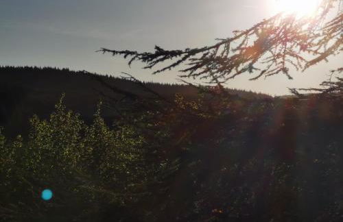 Gîte La Bancale - Foto 17