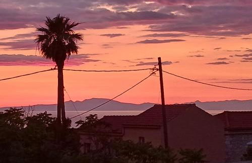 Pandera areopoli - Foto 9