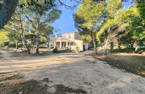 Mas de Caussagues, la Presqu'ile - Foto 40