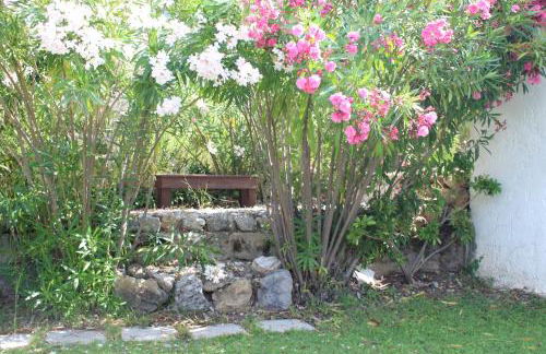 Salakos Mountain View Home - Foto 21