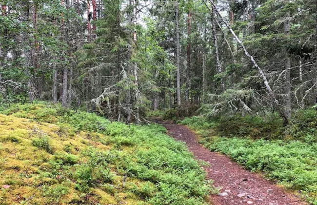 7 Person Holiday Home in Grisslehamn-by Traum - Photo 10