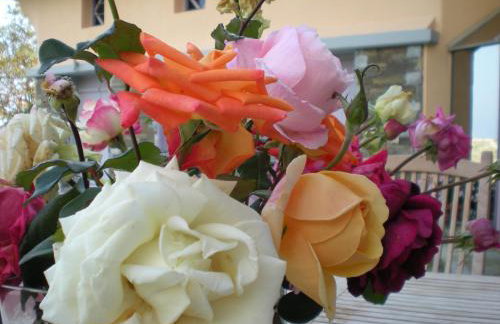 Tsagkarada Country Estate with Pool - Foto 48