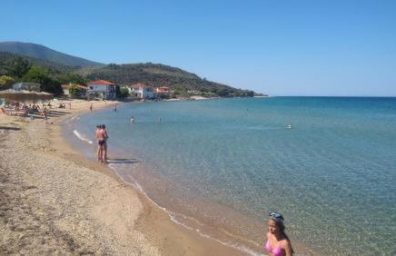 Sunray Separate Villa - Photo 40