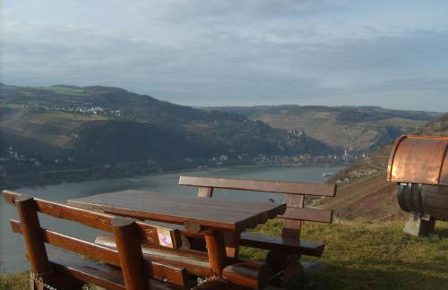 Schau-Rhein#1 - On top of Bacharach, Rhineview - Photo 34