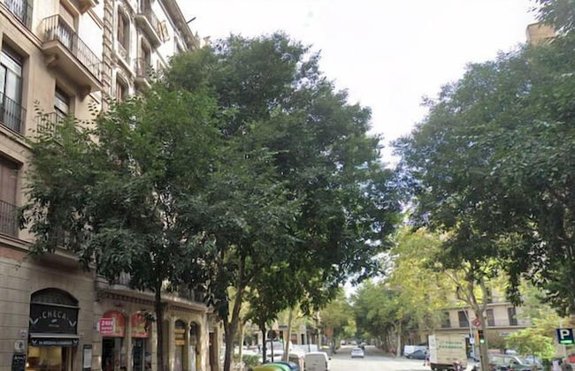 Hostal Laia by gaiarooms - Foto 16