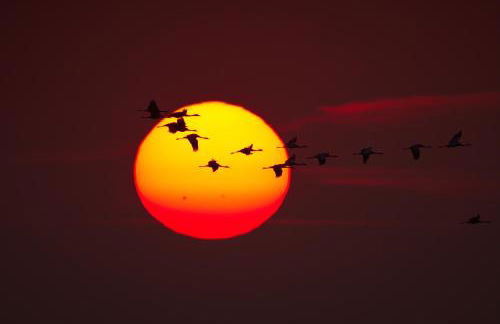 Ferienhaus Tura - Foto 41