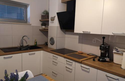 Romana Soul - Foto 21