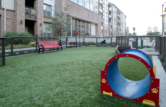 Bluebird Suites in Silicon Valley - Foto 50