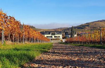 Gästehaus Casa Luna - Paradiesische Ferienwohnungen am Kaiserstuhl! - Foto 7