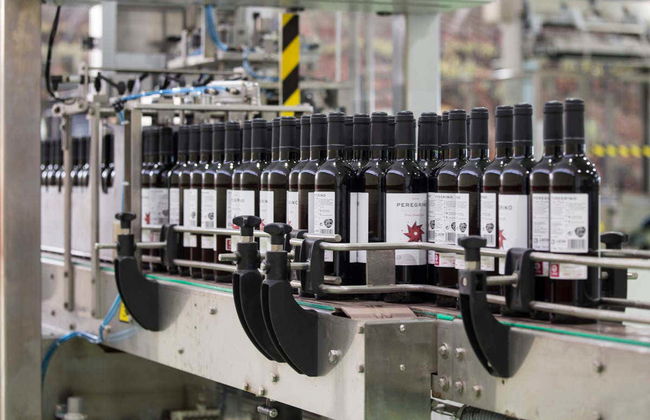 Visita à adega Gordonzello - Foto 7