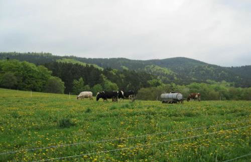 Haus-Dorfidyll - Foto 34