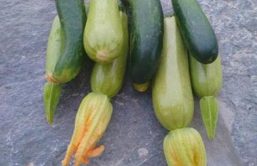 Gaia Vacation Home - Foto 69