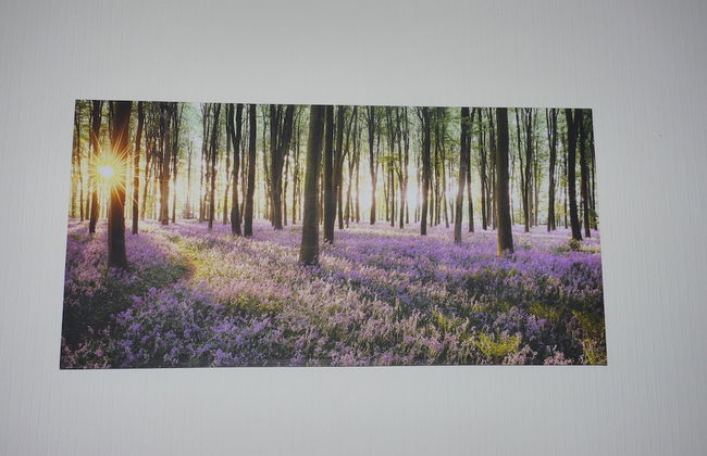 Broadshade Holiday Apartments - Foto 80