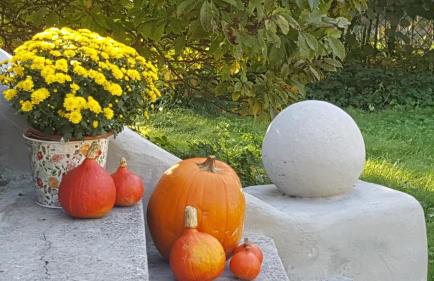 Kolbergarden - Foto 14