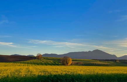 AlpenLodge Chiemsee - Photo 6