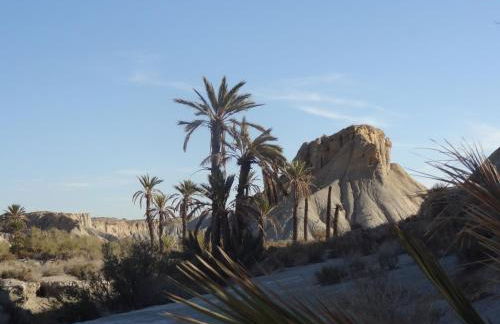 Cortijo Oro Verde B&B - Foto 60