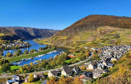 Ferienwohnung an der Mosel, Julia - Foto 2