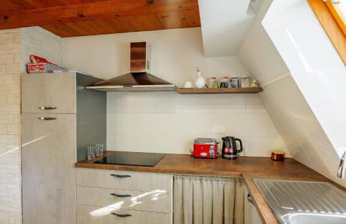 Kuća za odmor Šumska Vila - Foto 31