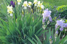 Domek Pod Górką - Foto 7