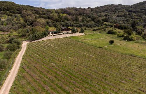 ktima Tzouros - Κτήμα Τζούρος - Foto 23