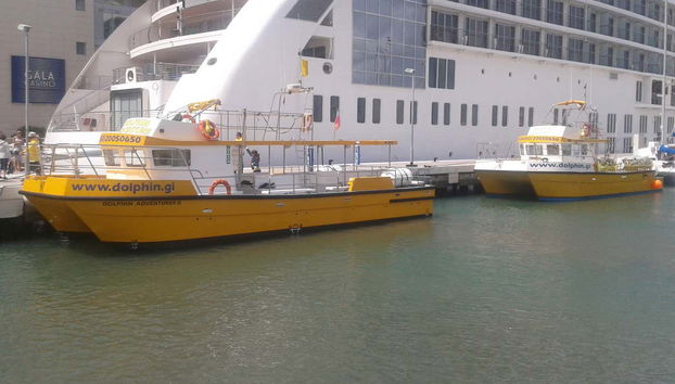 Billet pour le téléphérique de Gibraltar + Observation de dauphins - Photo 2, Bateaux d'observation des dauphins