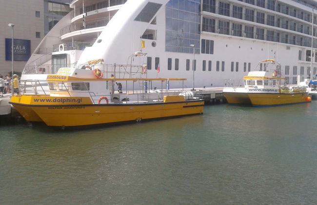 Gibraltar Cable Car Ticket + Dolphin Watching - Photo 2