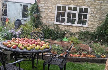 The Barn - Wheatley - Oxford - Foto 12