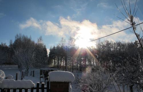 domki na leśnej polanie - Foto 26