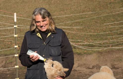 Alpaca-Village - Foto 36