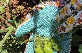 Villa Anasa Residence - Foto 53