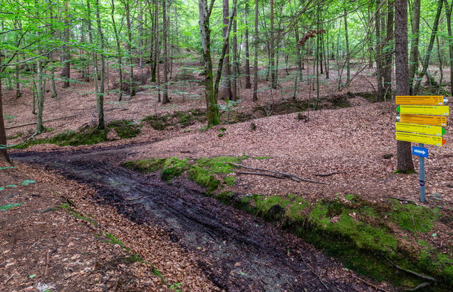 Sonnenteich-Haus - Foto 25